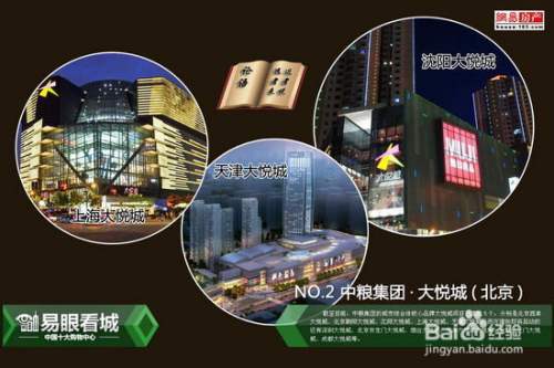 中国十大购物中心品牌榜